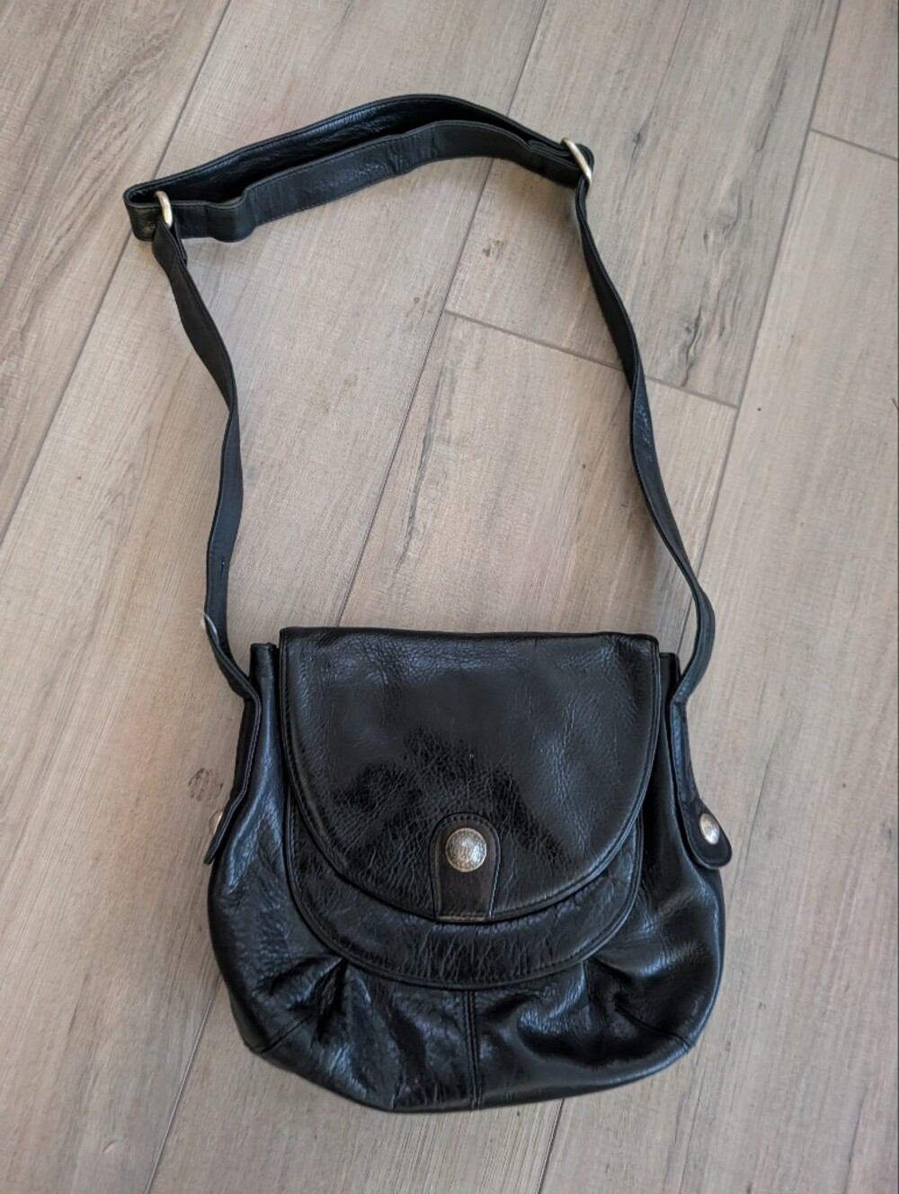 OSGOODE MARLEY leather pleated flap, METALLIC crossbody bag.